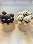 Cape Shark Puppy - Stuffed Animal - Chocolate Lab