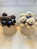 Cape Shark Puppy - Stuffed Animal - Chocolate Lab