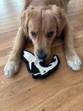 Cape Shark Dog Toy