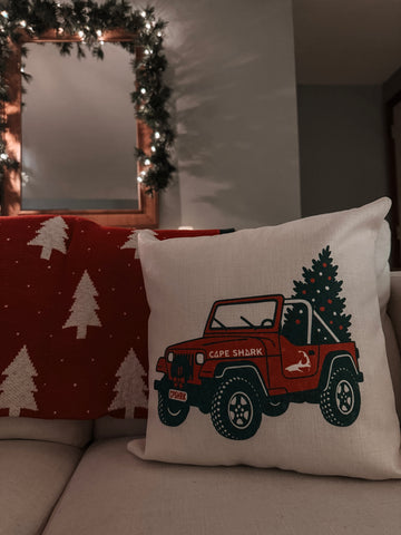 Pillow - Over Sand Express