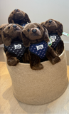 Cape Shark Puppy - Stuffed Animal - Chocolate Lab