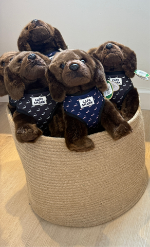 Cape Shark Puppy - Stuffed Animal - Chocolate Lab