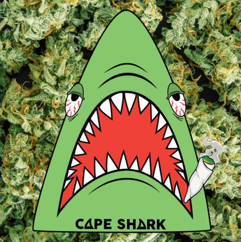 Pattern Sticker - Stoner Shark